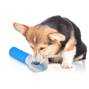 Lizzy & Lola drinkfles voor dieren - Sky blue