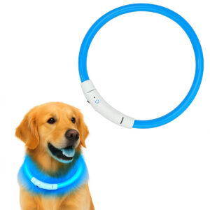 LED Hondenhalsband – Oplaadbaar – Lichtgevende Halsband Hond – 3 Lichtstanden – 70 cm – Grote Honden - Blauw