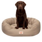 Lizzy & Lola - Amazy Hondenmand XL – Waterdicht & Ergonomisch – 94 x 75 cm - Beige