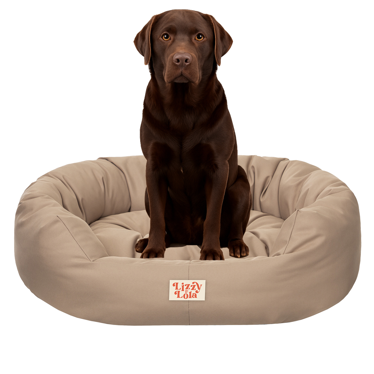 Lizzy & Lola - Amazy Hondenmand XL – Waterdicht & Ergonomisch – 94 x 75 cm - Beige