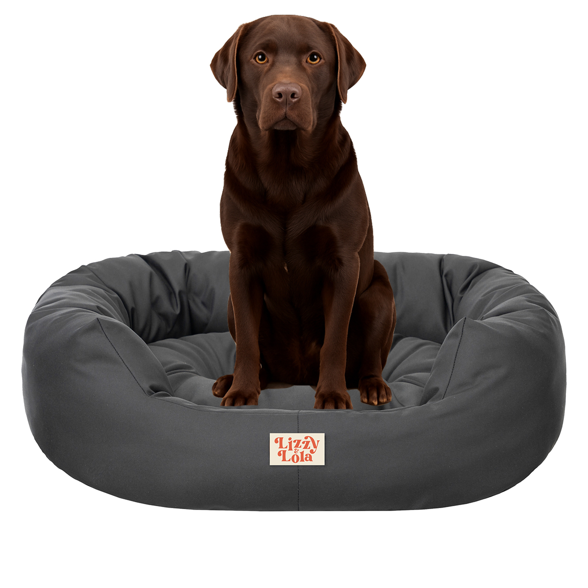 Lizzy & Lola - Amazy Hondenmand XL – Waterdicht & Ergonomisch – 100 x 70 cm - Antraciet