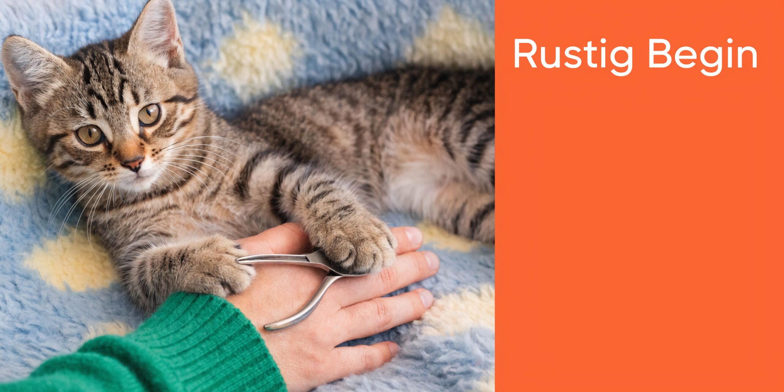 Een zachte tabby kitten ligt ontspannen op een deken terwijl iemand voorzichtig de nagels probeert te knippen.