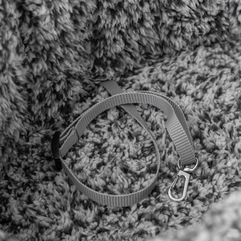 Sea Shell Transporttas voor Hond en Kat – 3-in-1 Draagtas, Mand & Autostoel – Zwart - Afbeelding 5