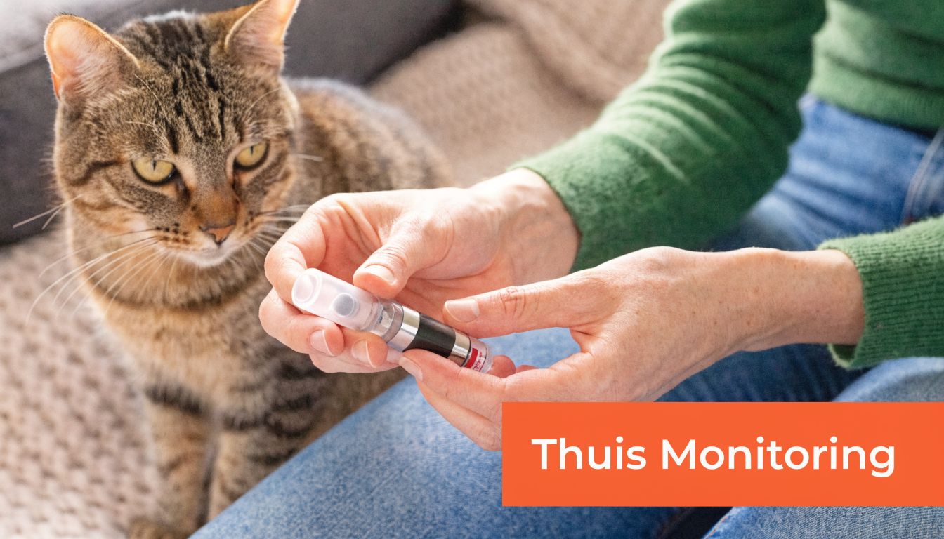 Een persoon die een glucosemeter voor katten klaarmaakt voor gebruik bij een huisdier met suikerziekte.
