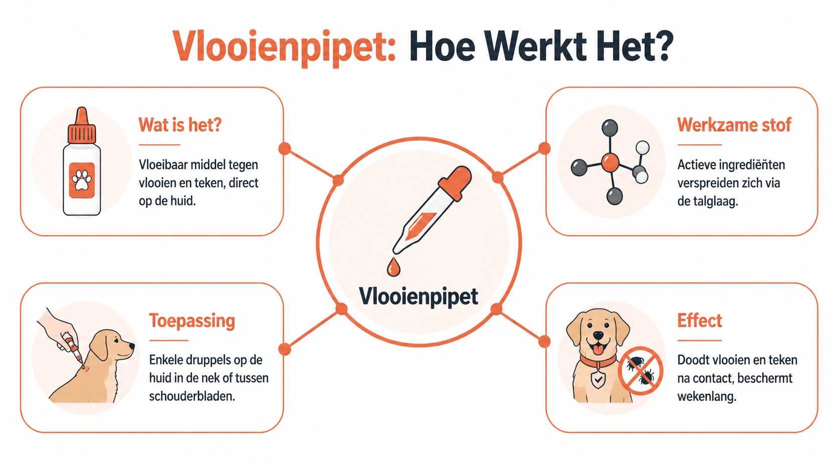 Een informatieve infographic die uitlegt hoe een vlooienpipet bij honden werkt, inclusief toepassing en het gewenste effect.