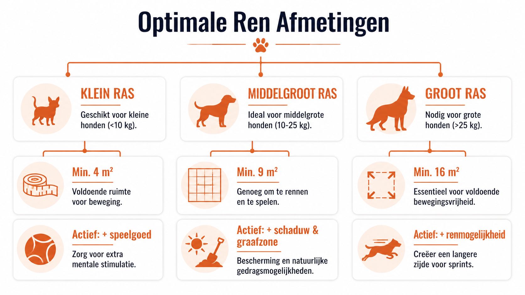 Een infografiek die de ideale afmetingen en inrichting voor hondenrennen toont voor kleine, middelgrote en grote hondenrassen.