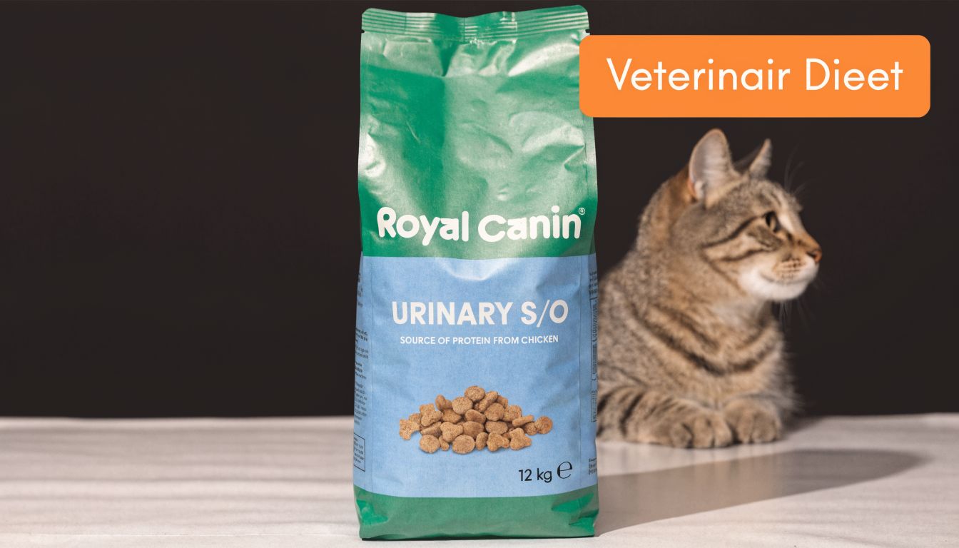 Een verpakking Royal Canin Urinary S/O kattenvoeding met een kat die naast de zak ligt.