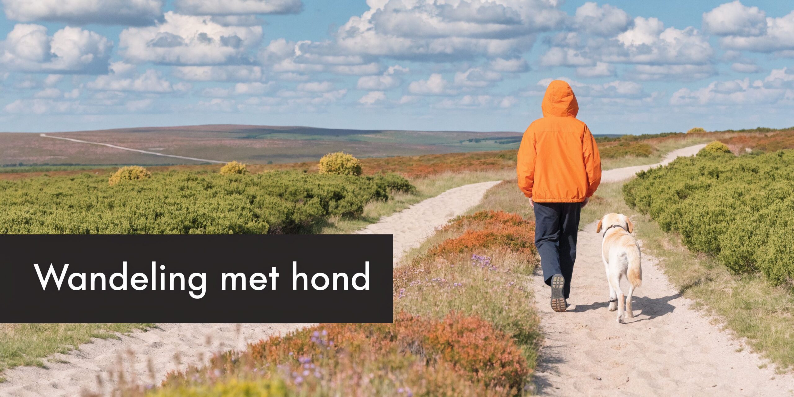Een persoon met een feloranje jas wandelt samen met een hond over een zandpad in de natuur.