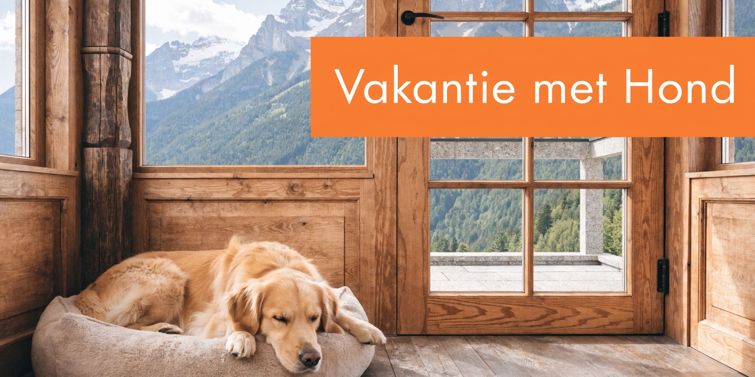 Een slapende golden retriever ligt in een comfortabele hondenmand voor een raam met uitzicht op bergen.