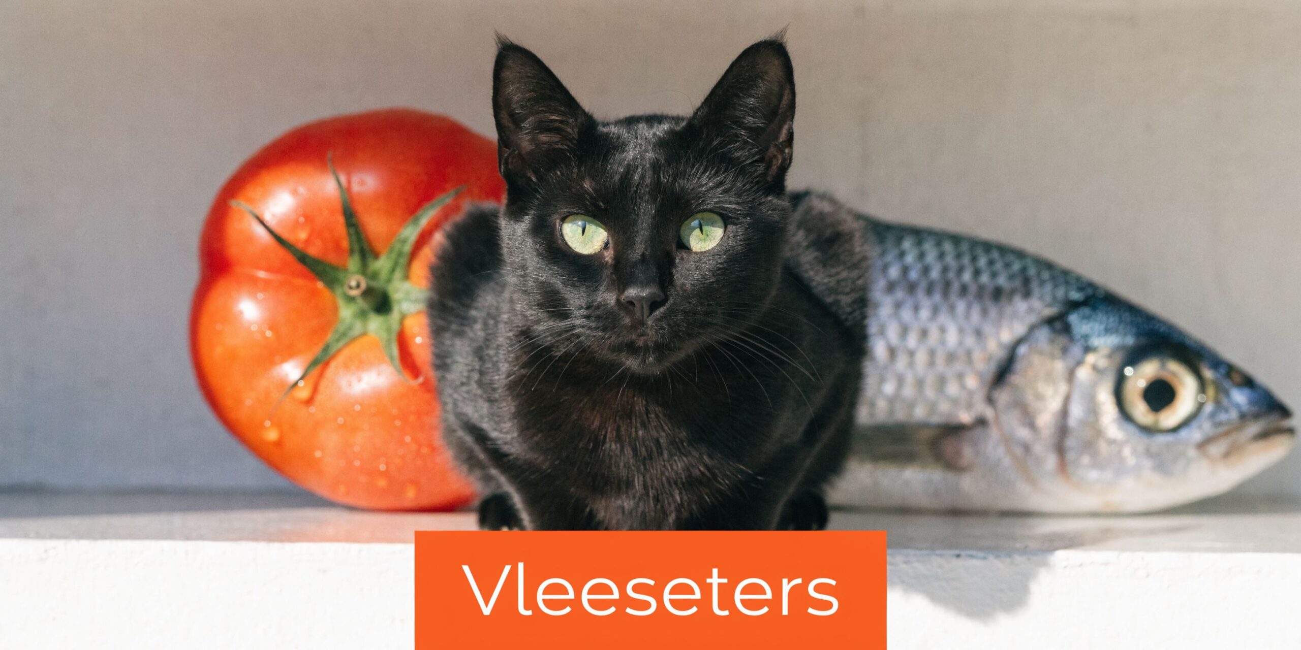 Een zwarte kat zit tussen een verse rode tomaat en een hele vis op een witte ondergrond.