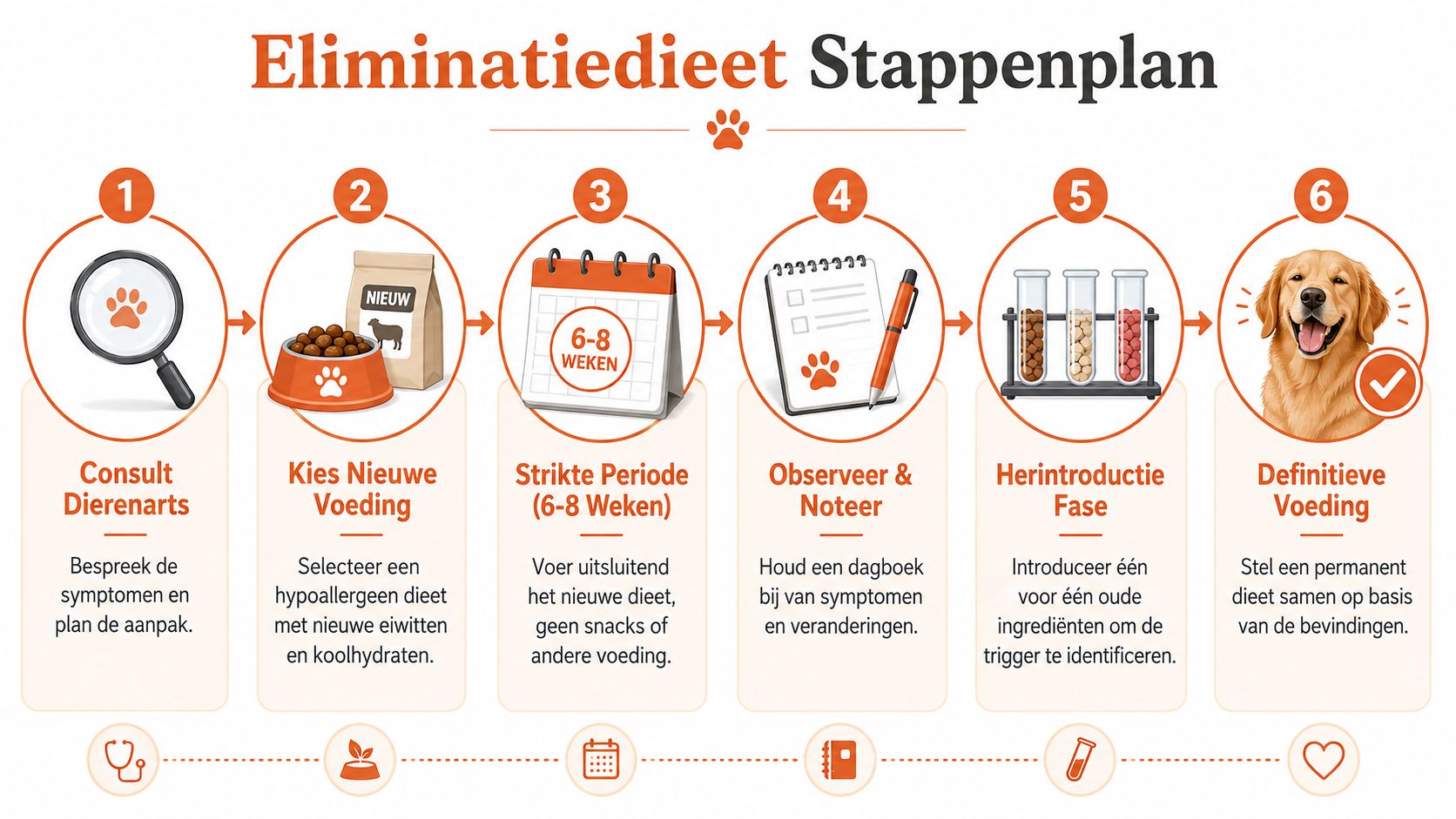 Stappenplan voor een eliminatiedieet bij honden om voedselallergieën effectief te identificeren en gezondheidsklachten te verminderen.