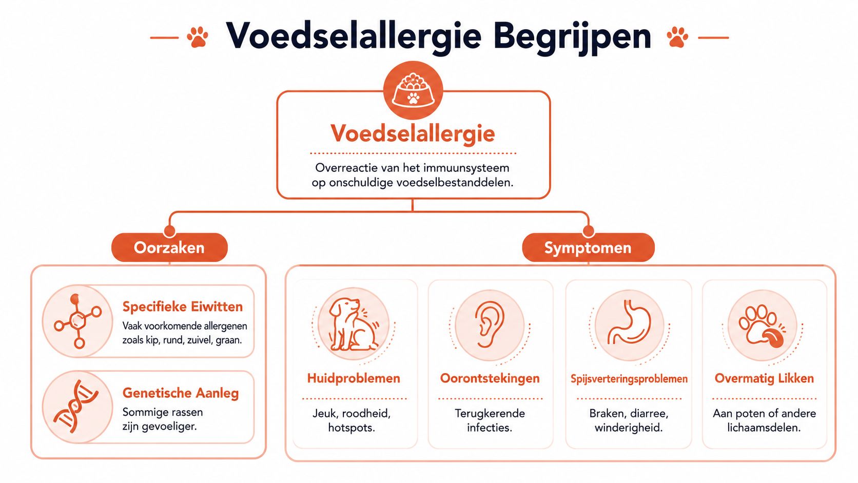 Een informatieve infographic over de oorzaken en symptomen van voedselallergieën bij honden in het Nederlands.