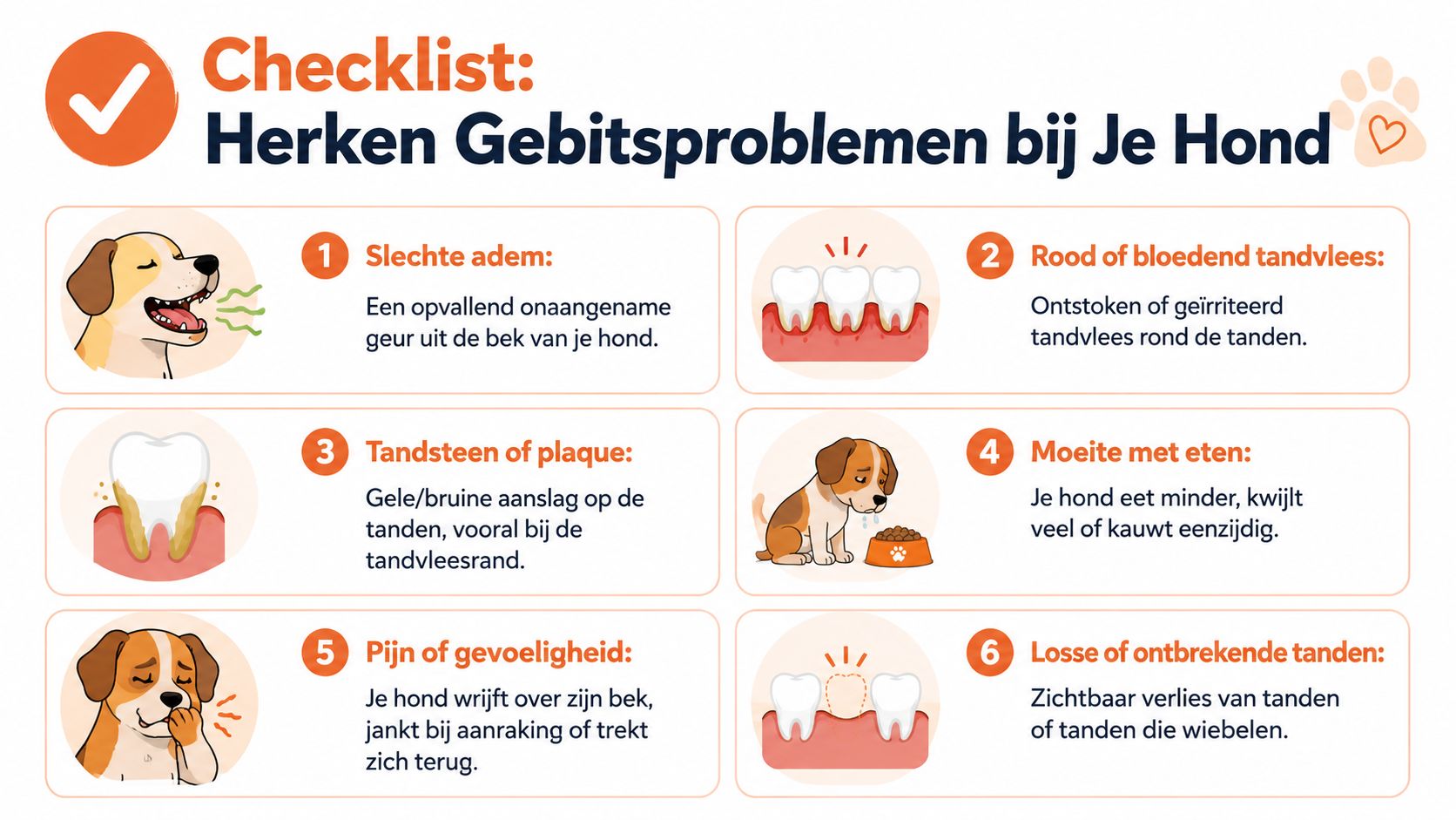 Een informatieve checklist met zes veelvoorkomende symptomen van gebitsproblemen bij honden met bijbehorende illustraties.