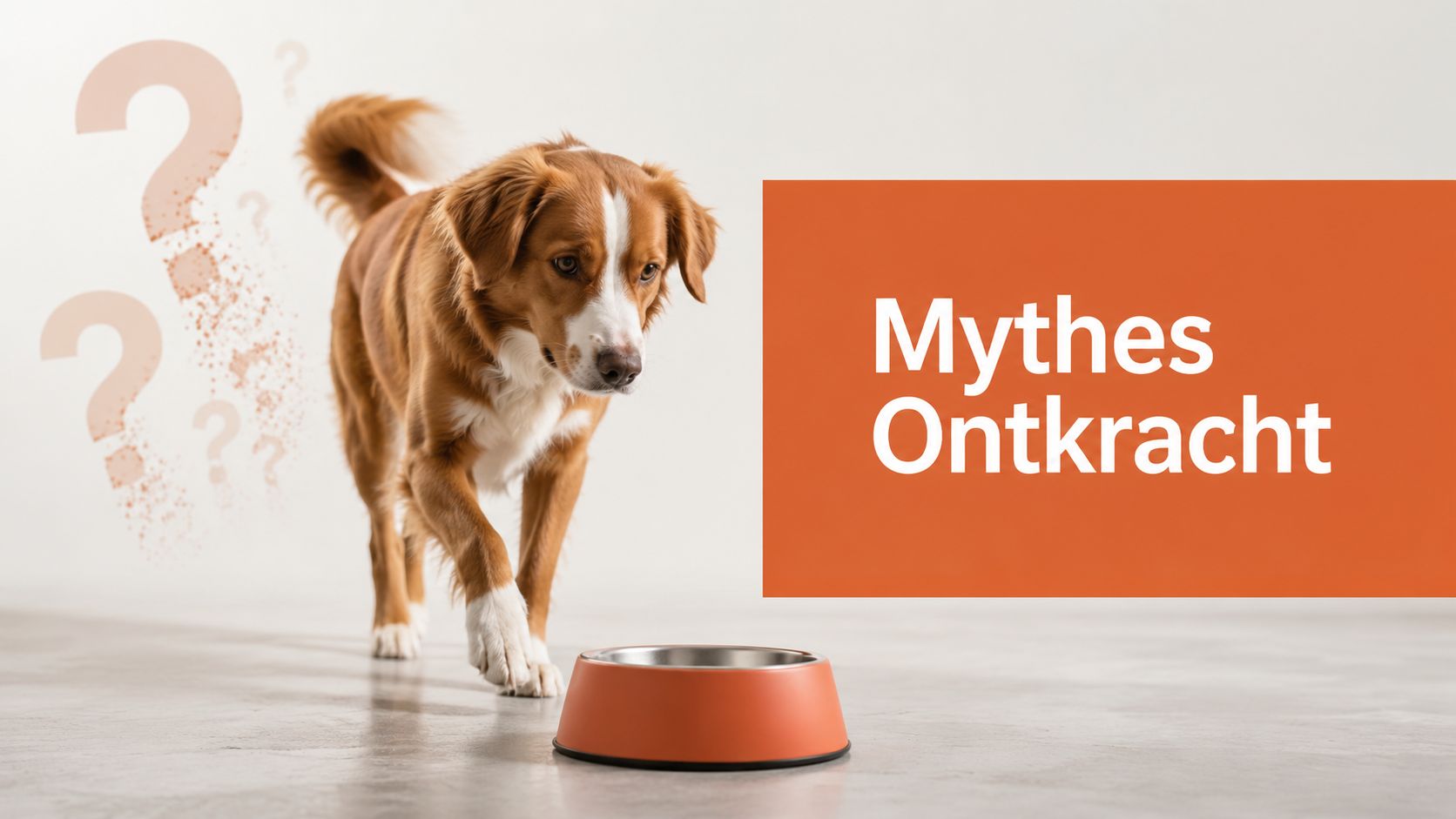 Een hond loopt naar een voerbak toe met tekst die mythes ontkracht op de achtergrond.