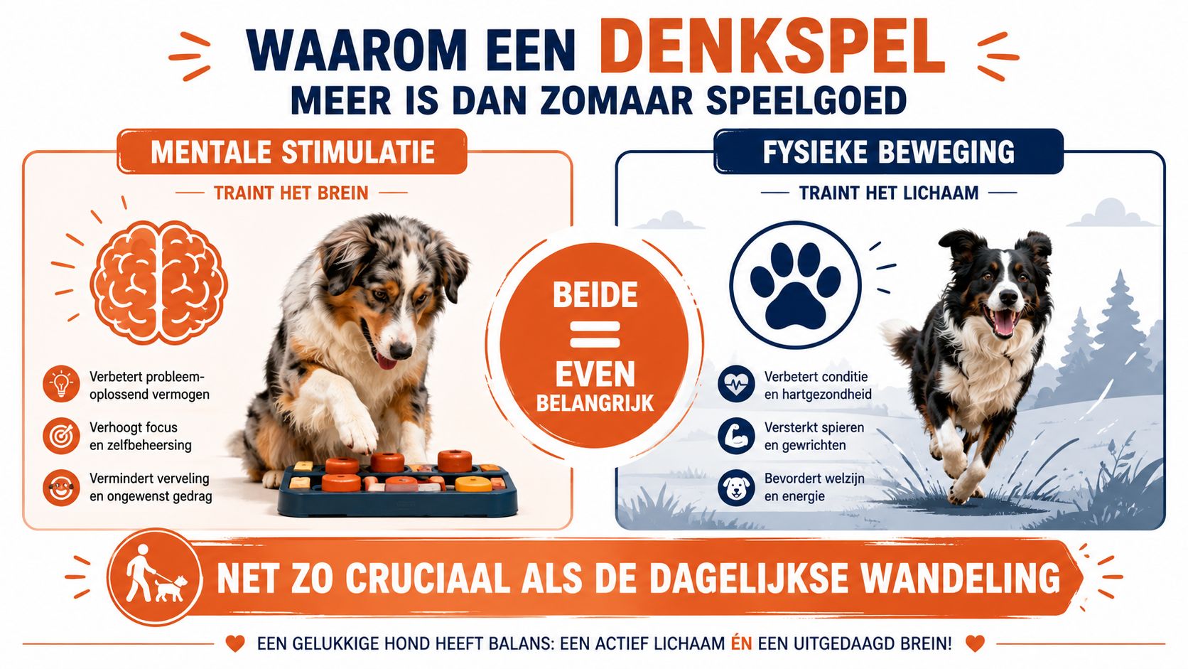 Een informatieve infographic over waarom denkspelletjes voor honden net zo belangrijk zijn als fysieke lichaamsbeweging.