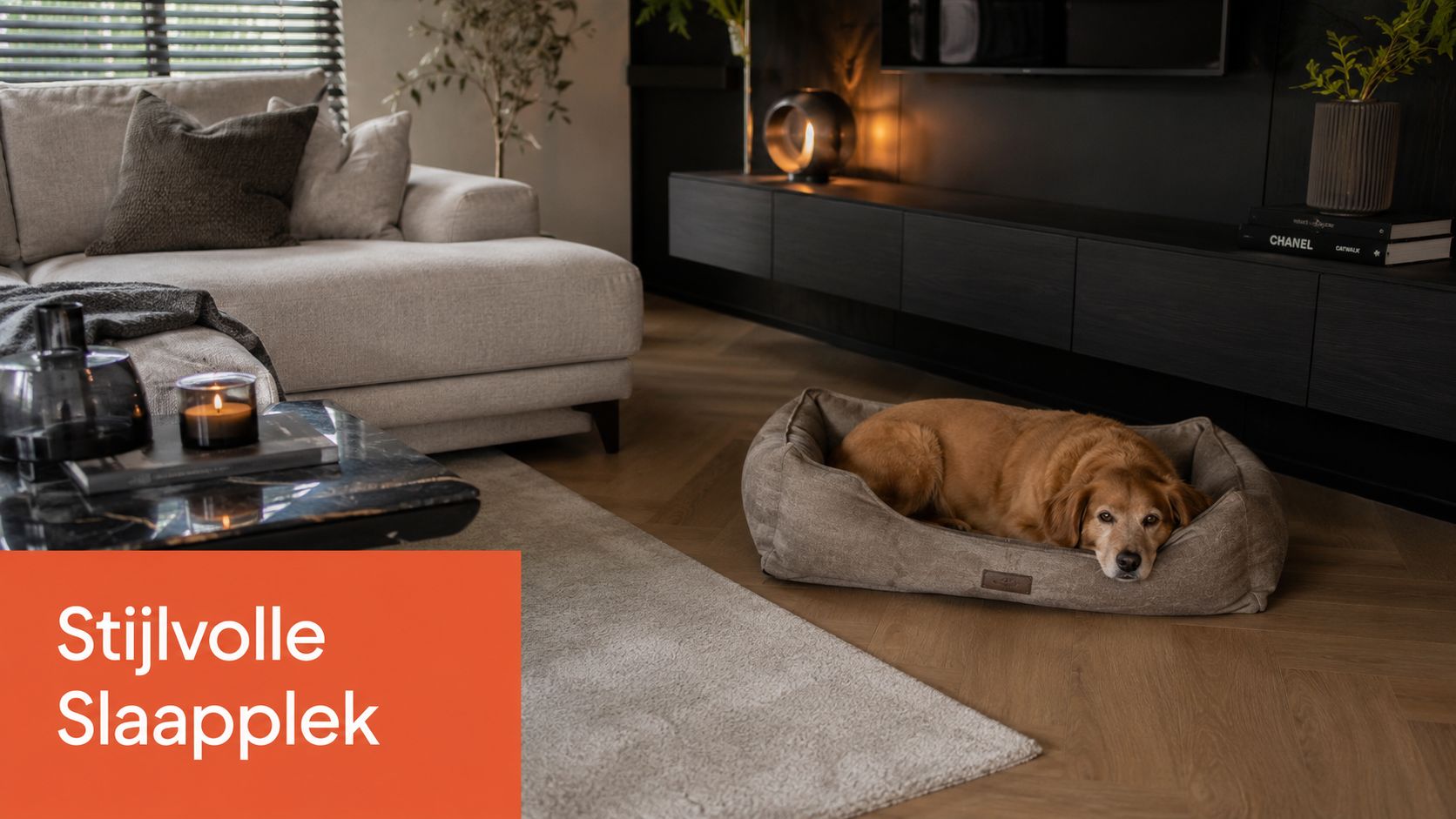Een rustige hond ligt in een stijlvolle, comfortabele hondenmand in een modern en sfeervol ingerichte woonkamer.