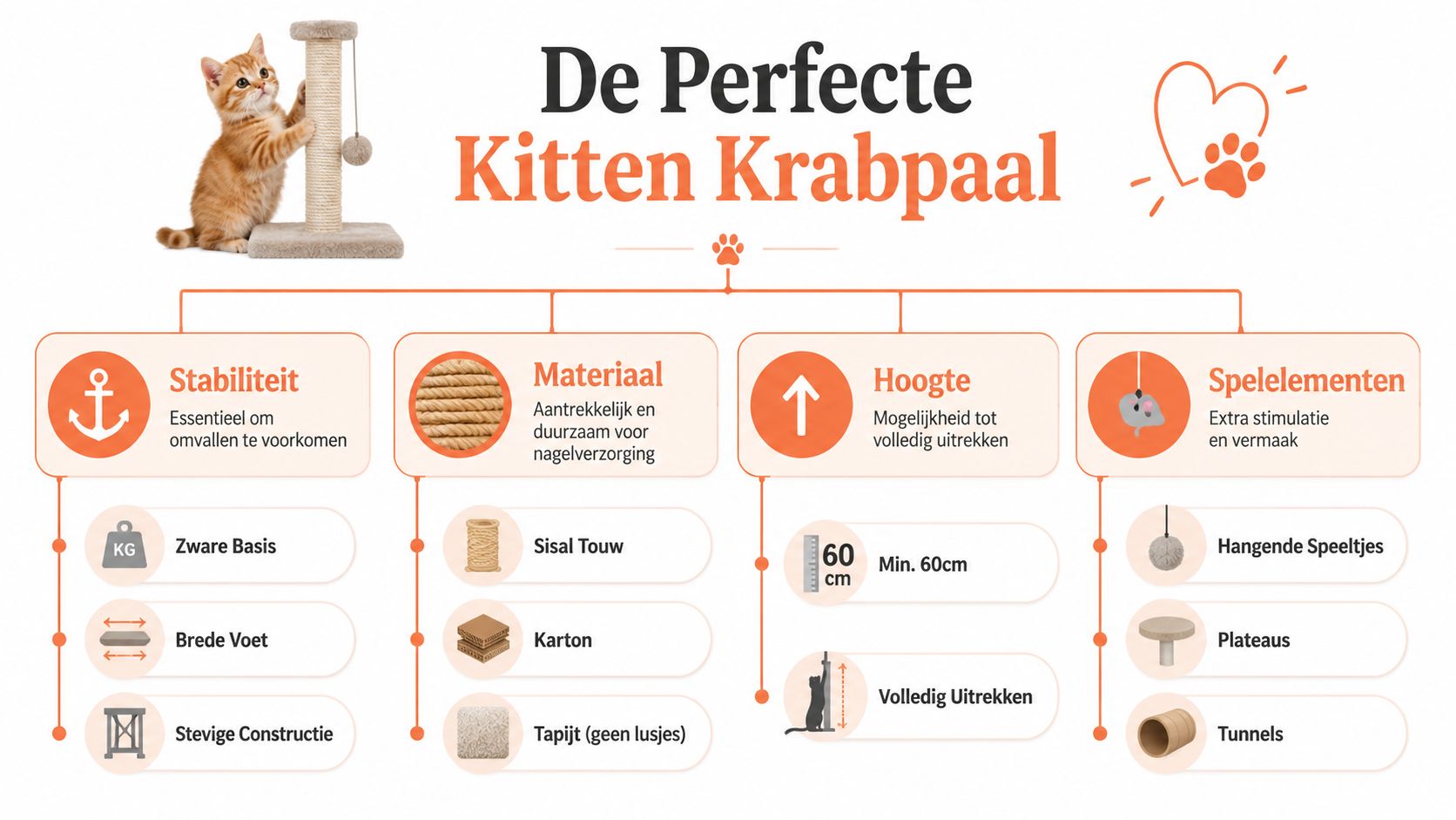 Een informatieve infographic over de kenmerken van een perfecte krabpaal voor kittens met vier essentiële categorieën.