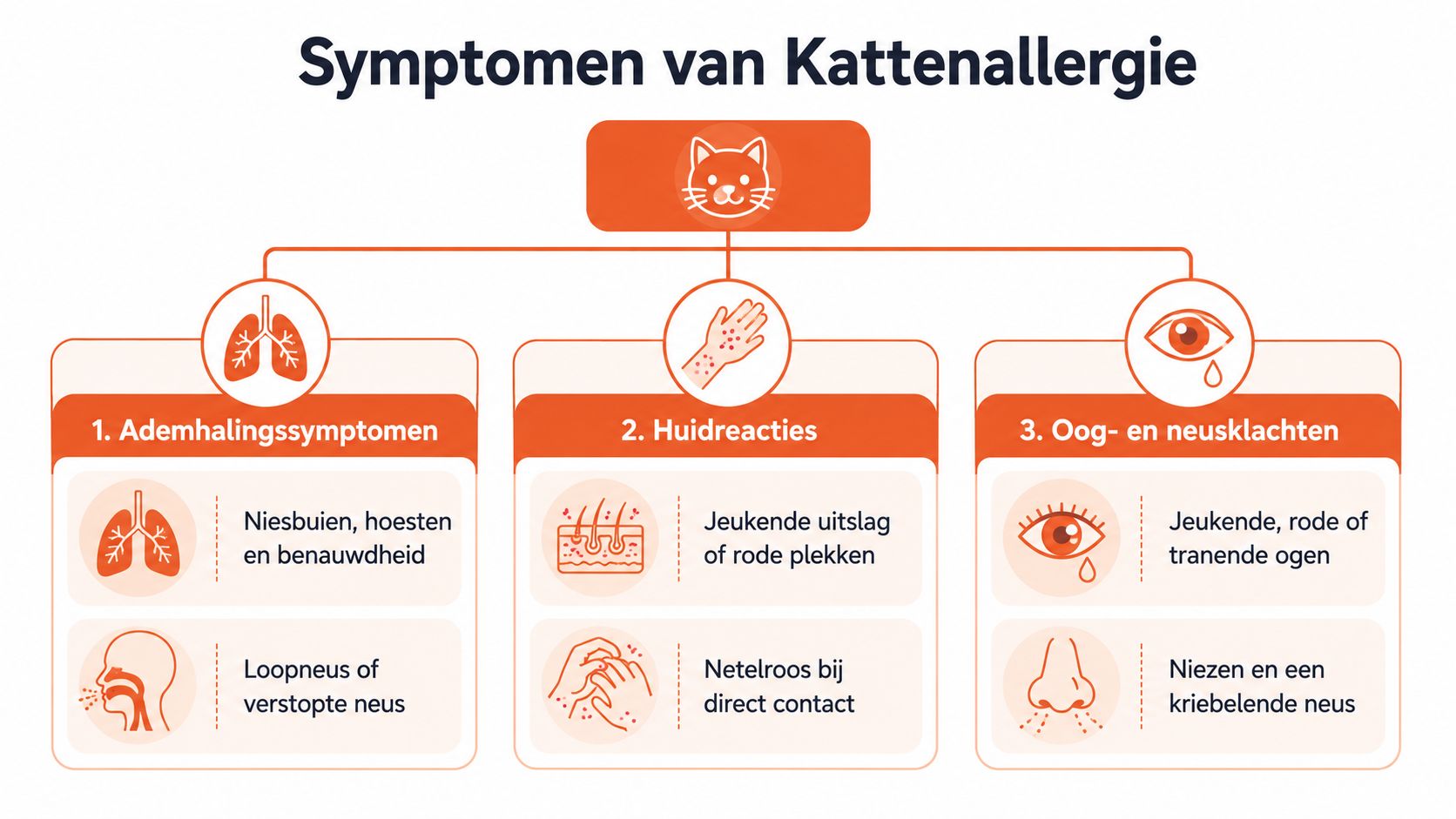 Een overzichtelijk schema met de meest voorkomende symptomen van een allergie voor katten, verdeeld in categorieën.