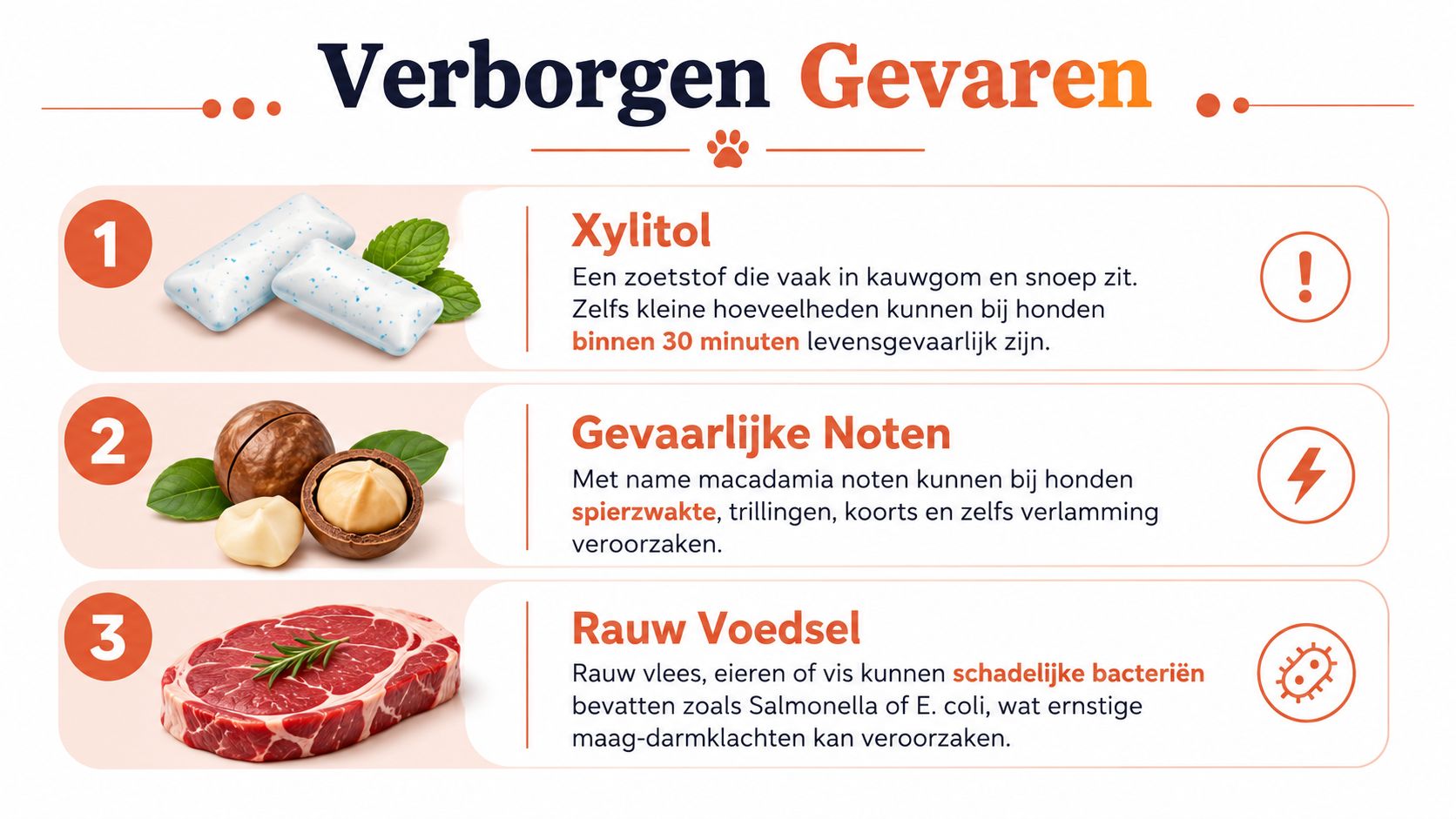 Een infographic met drie verborgen gevaren voor honden: xylitol, gevaarlijke noten en rauw voedsel.