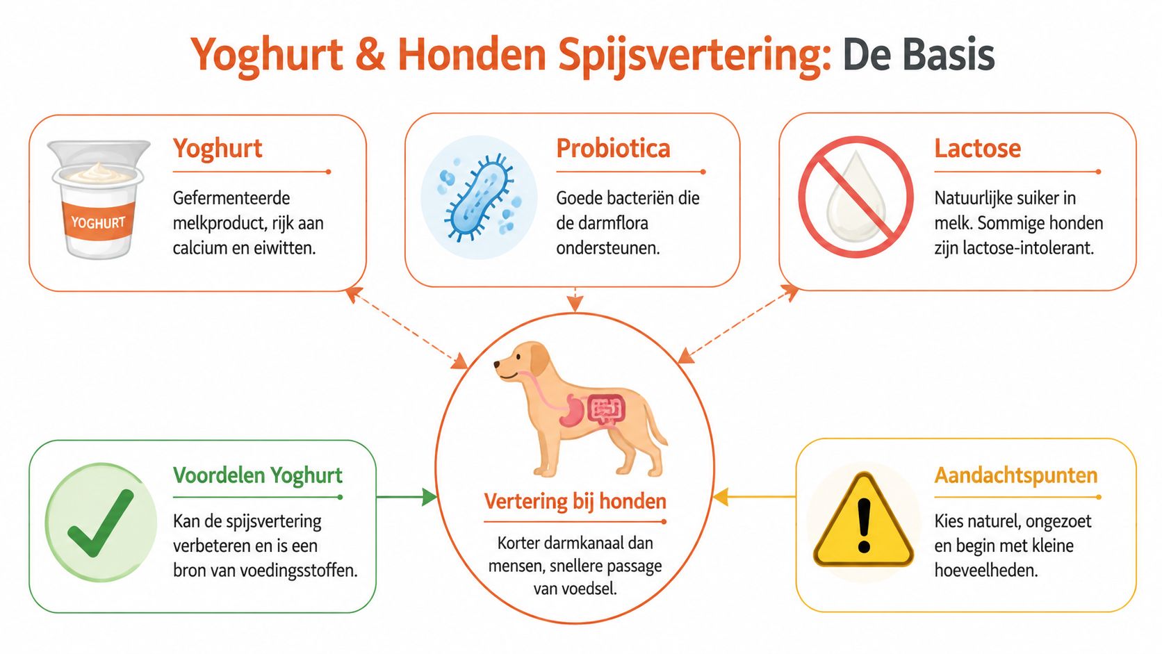 Een informatieve infographic over de voordelen, risico's en basisprincipes van yoghurt toevoegen aan het dieet van honden.
