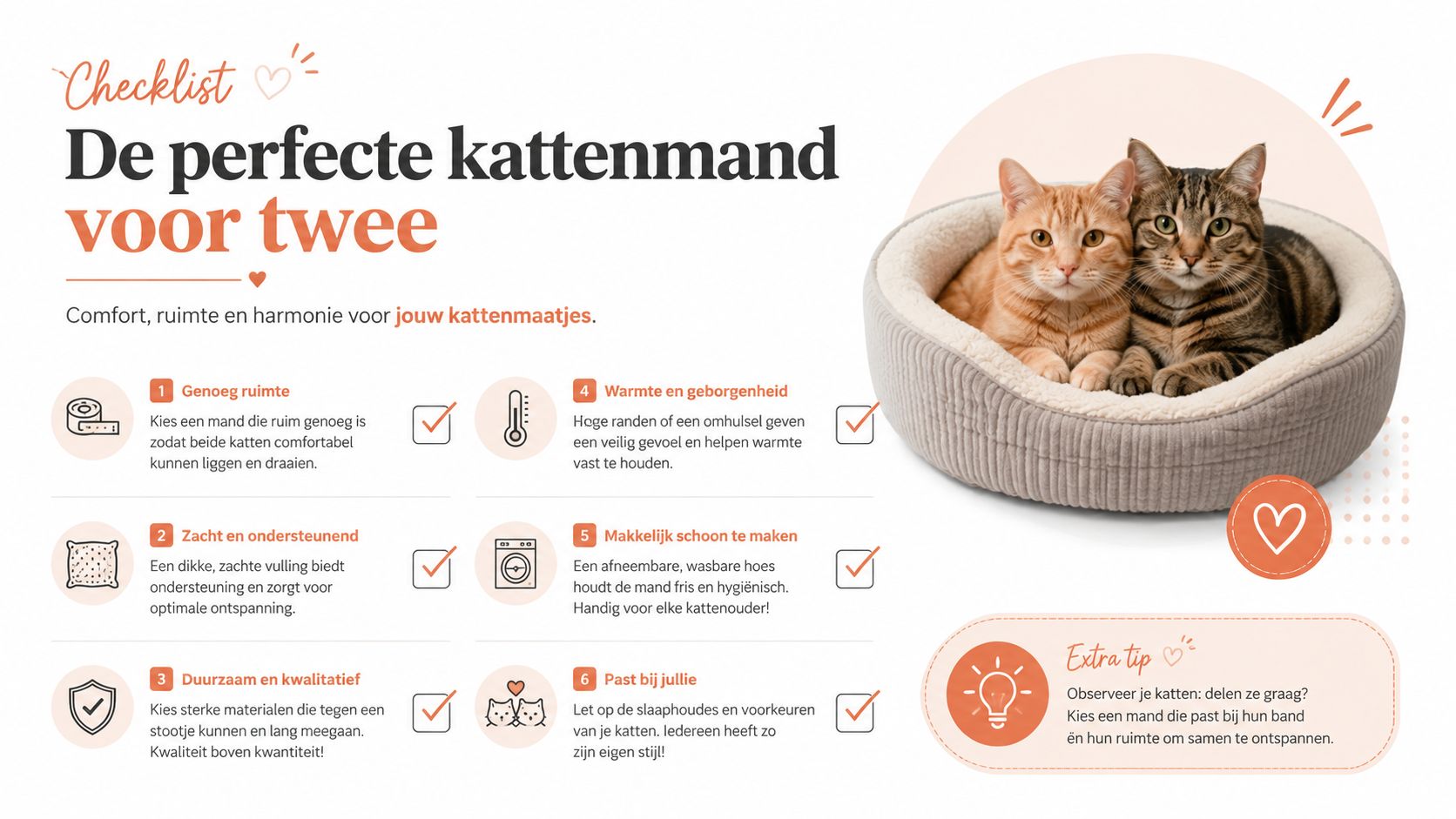Een informatieve checklist met zes tips voor het kiezen van de perfecte kattenmand voor twee katten.