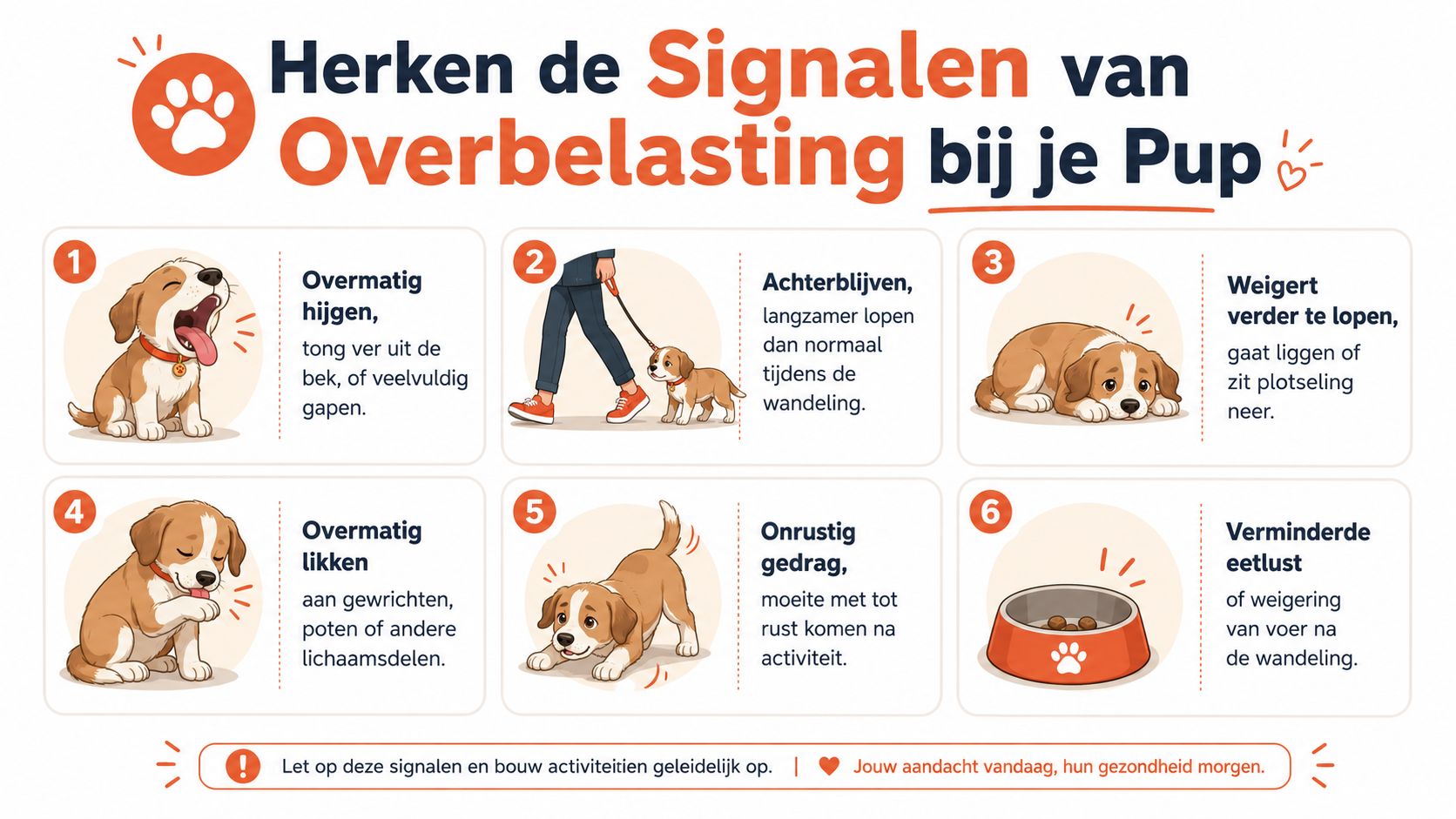Een informatieve infographic die zes belangrijke signalen van fysieke overbelasting bij een jonge pup weergeeft.