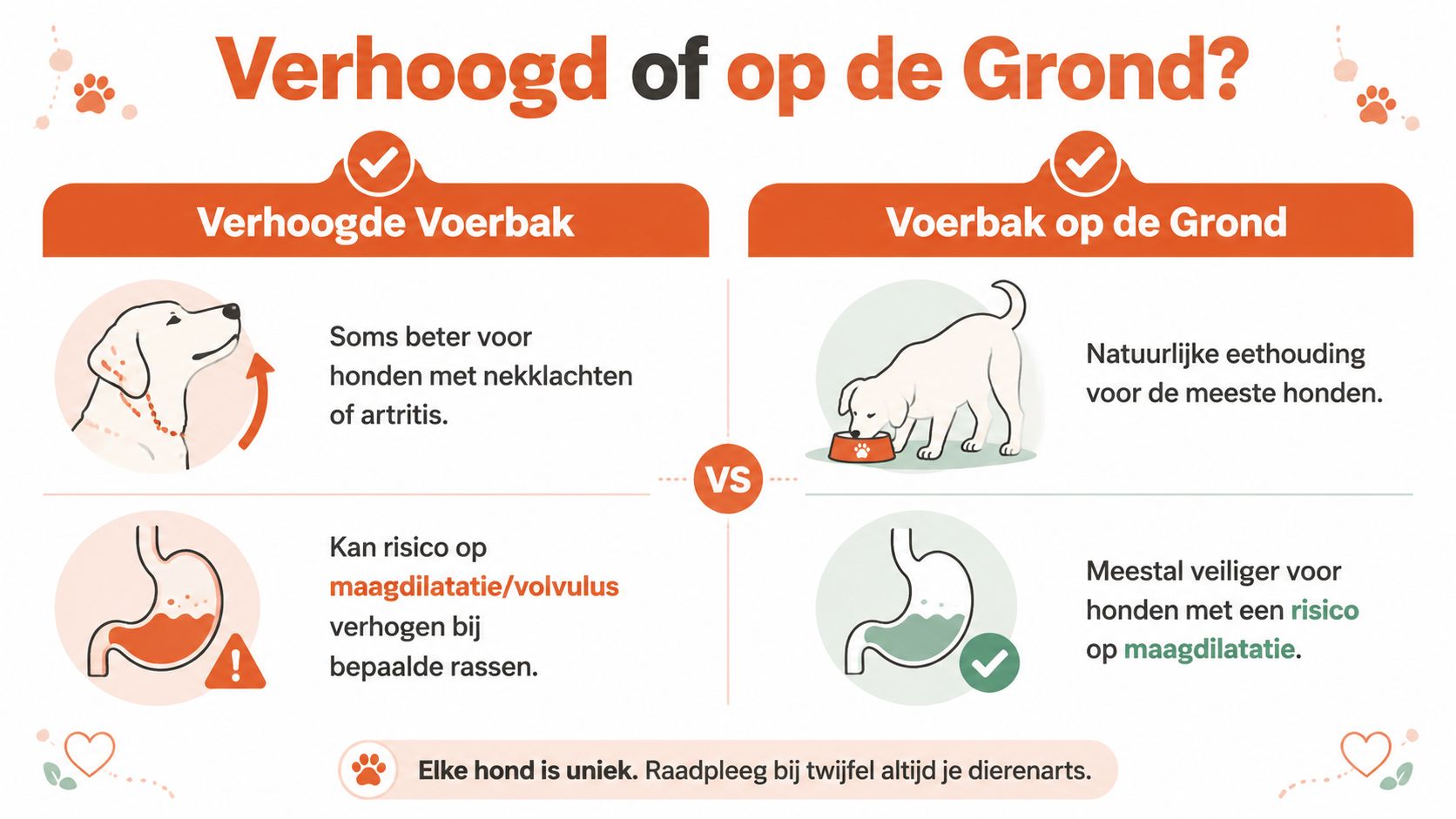 Een infographic die de voor- en nadelen van verhoogde voerbakken versus voerbakken op de grond vergelijkt.