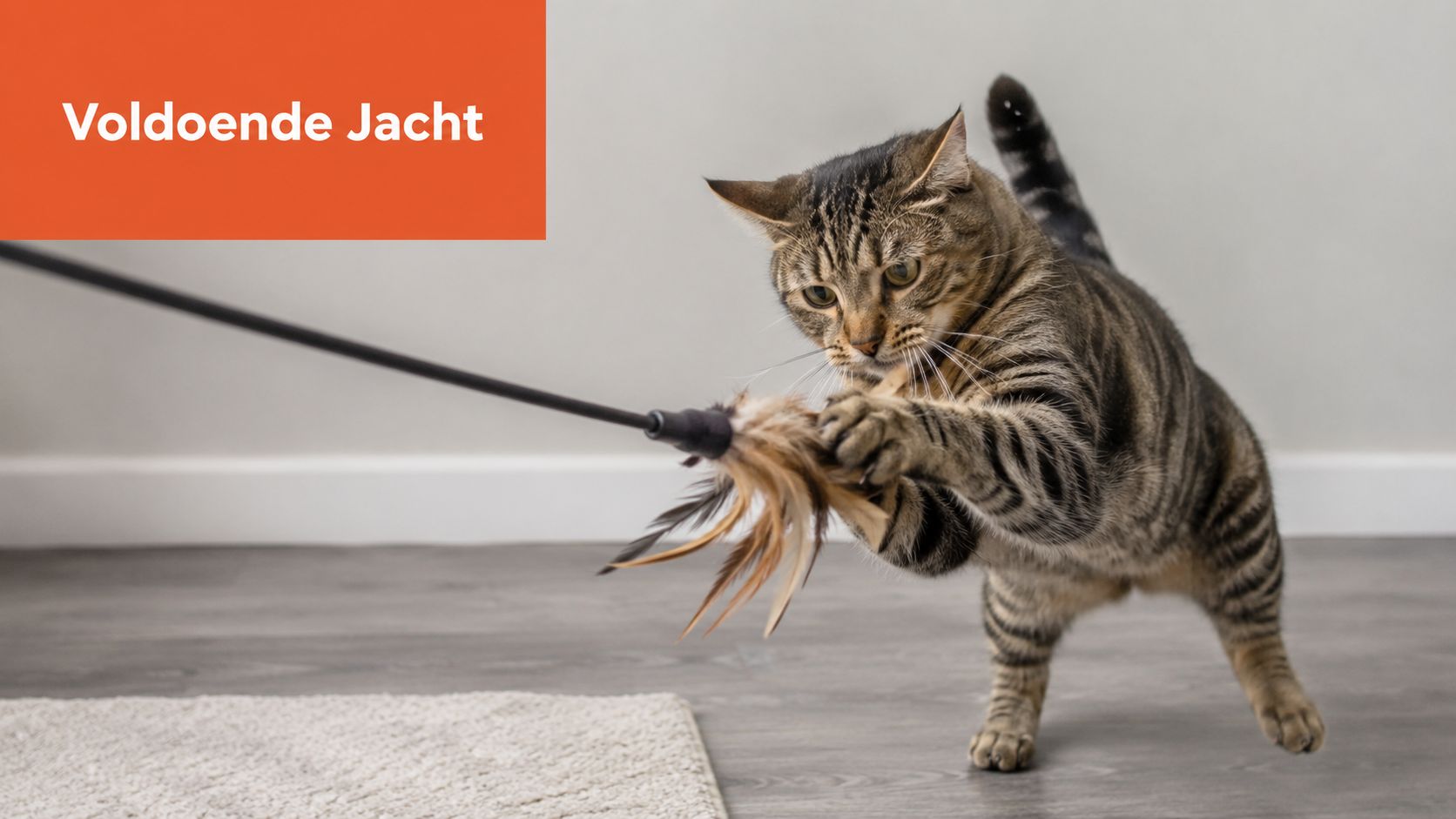 Een gestreepte kat die enthousiast jaagt op een speeltje met veren aan een hengel op de grond.
