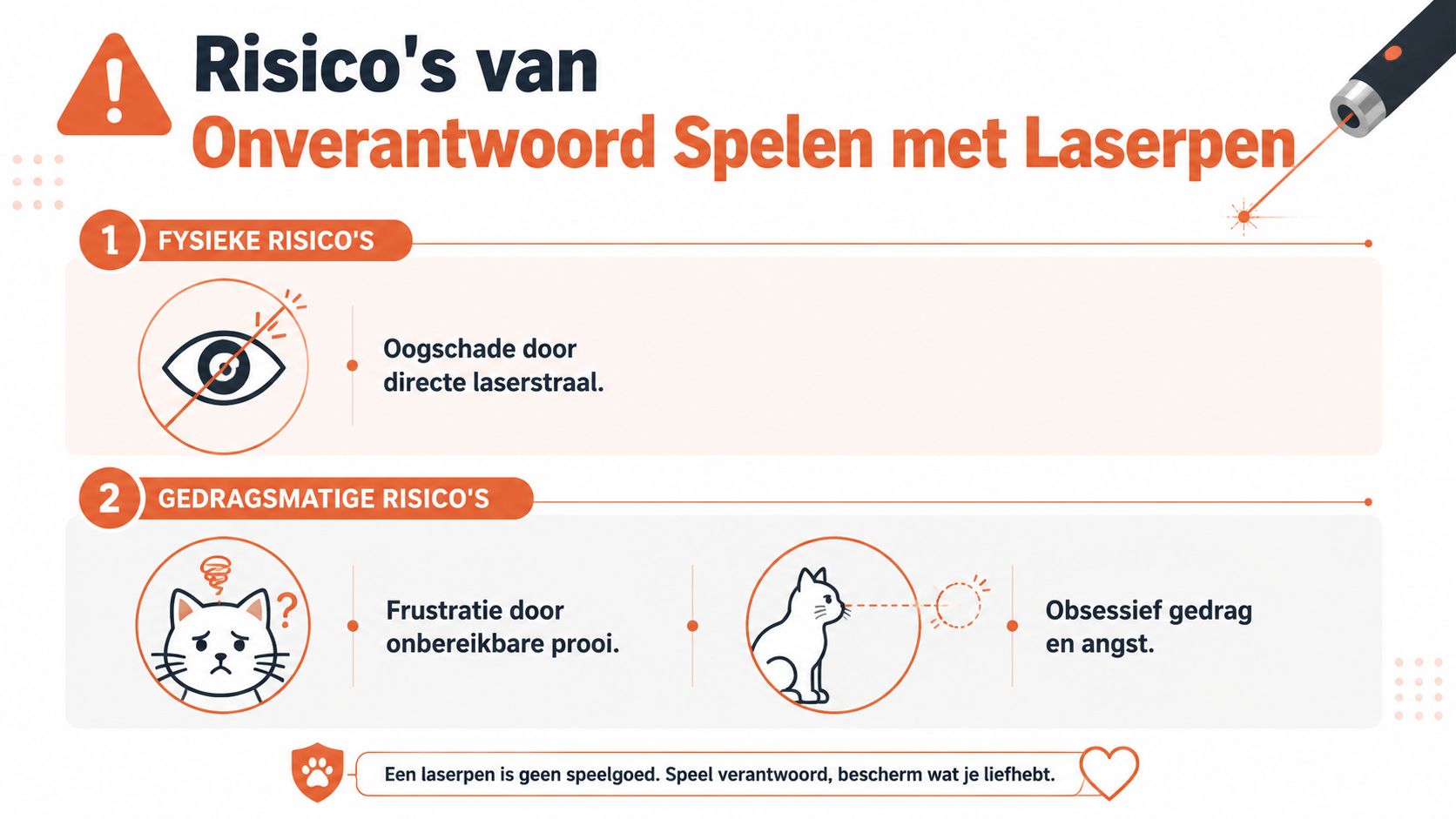 Een informatieve infographic over de fysieke en gedragsmatige risico's van het spelen met een laserpen voor katten.