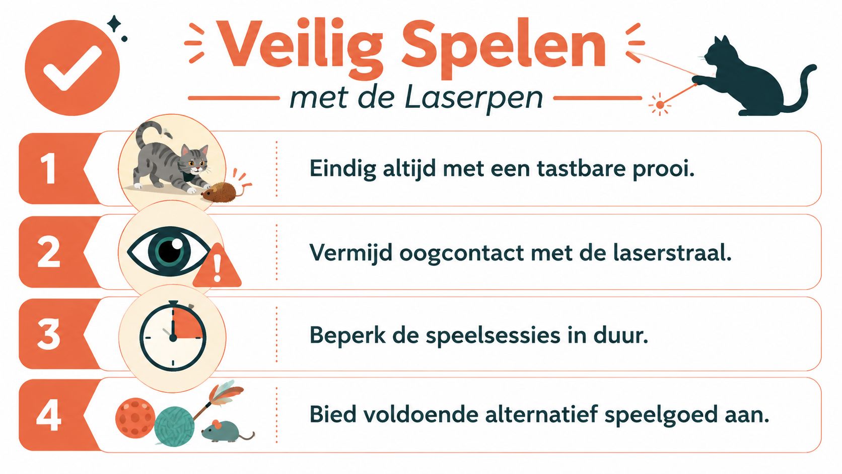Een informatieve afbeelding over veilig spelen met je kat met behulp van een laserpen, inclusief vier tips.
