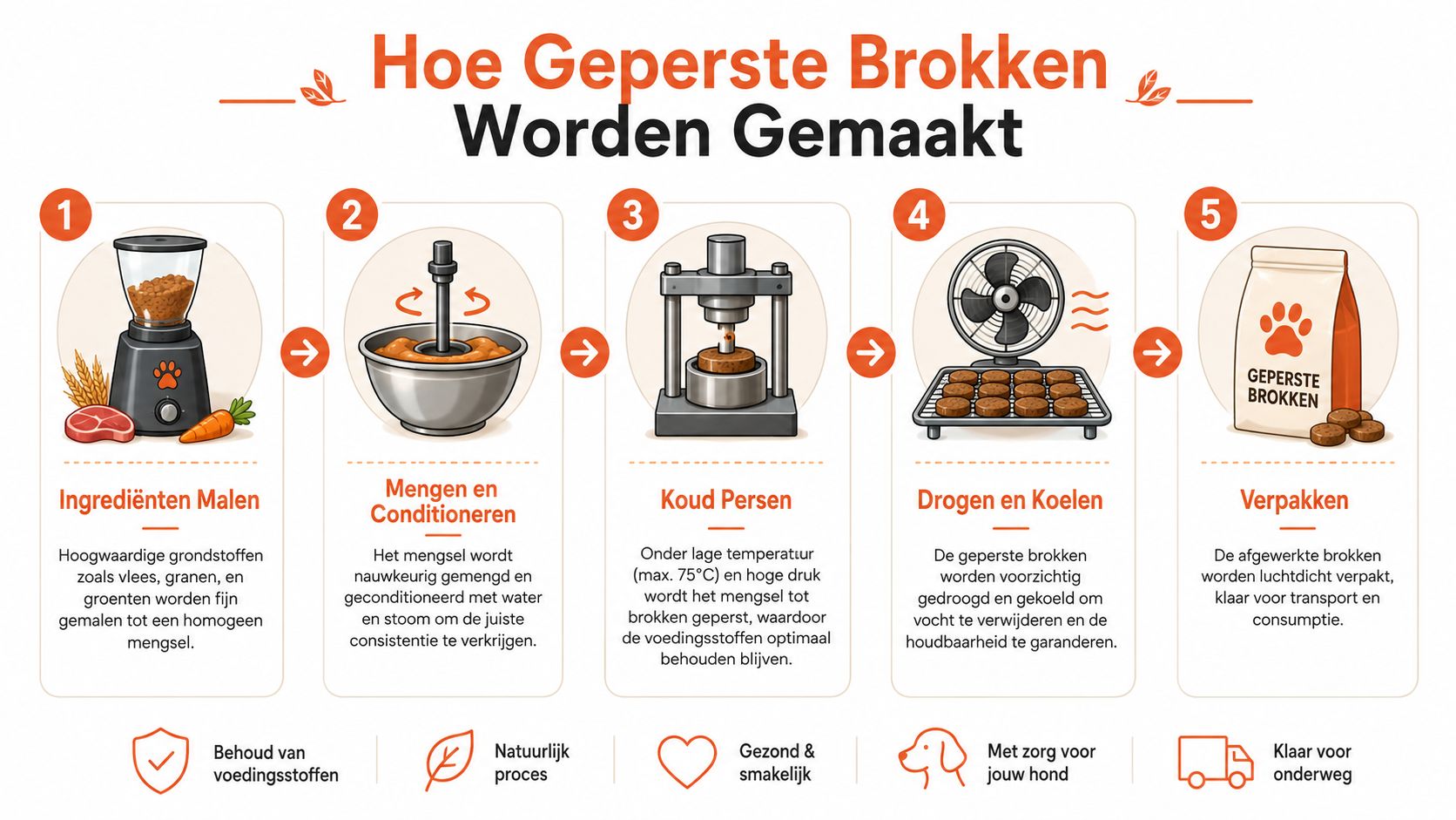 Een infographic die in vijf stappen toont hoe natuurlijke geperste hondenbrokken worden geproduceerd en verpakt.