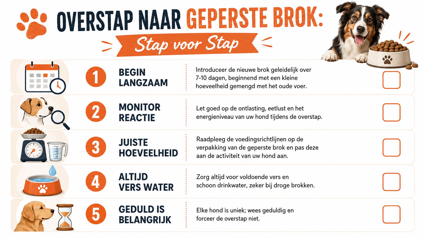 Een stappenplan met 5 tips voor de overstap naar geperste hondenbrokken voor uw hond.