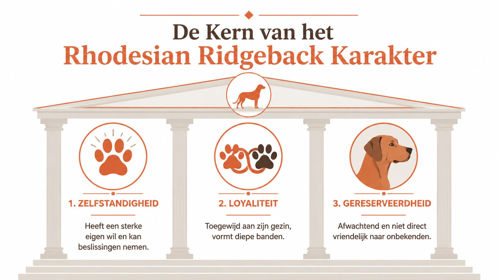 Een infographic over het karakter van de Rhodesian Ridgeback met drie kernpunten: zelfstandigheid, loyaliteit en gereserveerdheid.