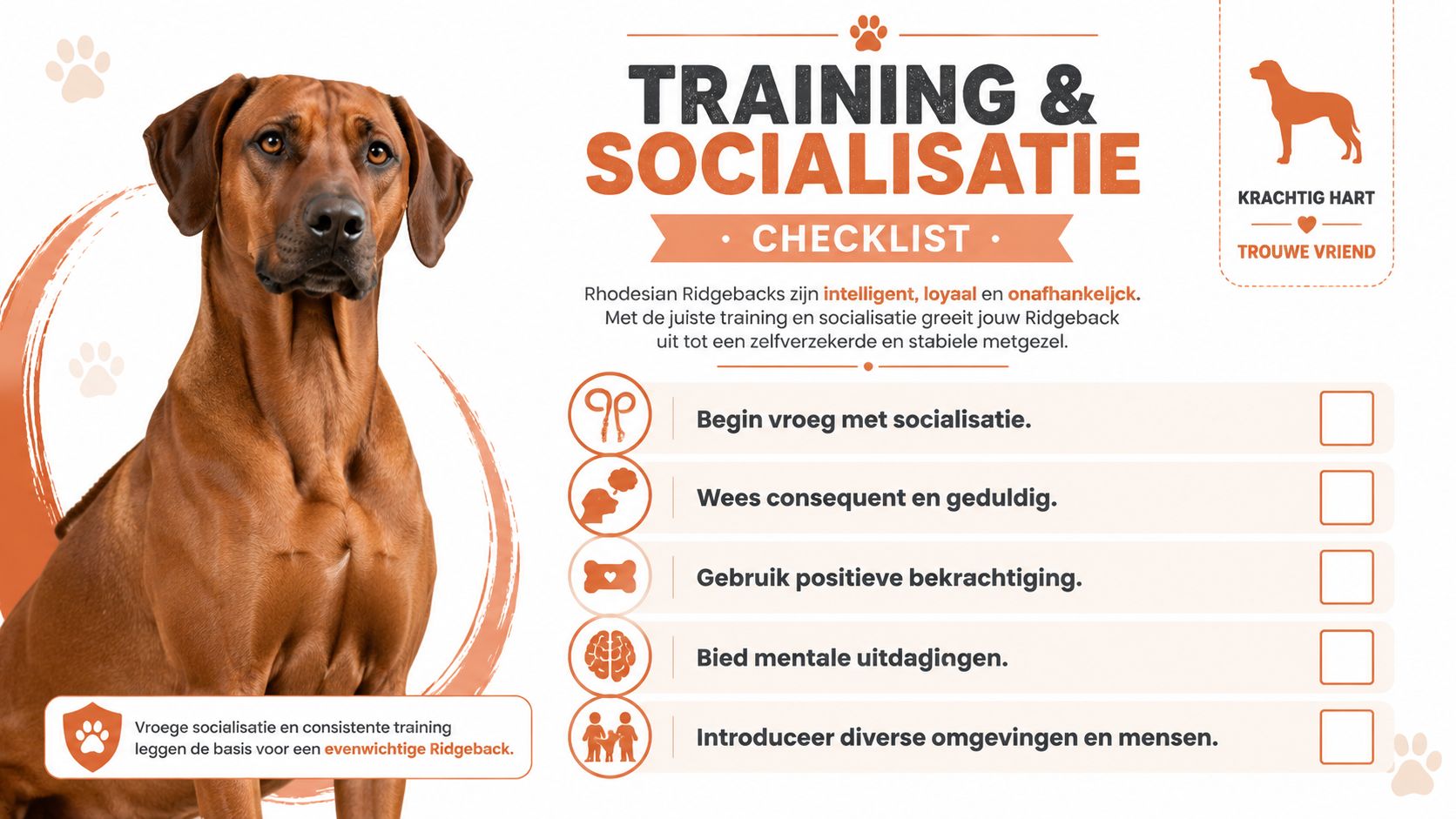 Een informatieve checklist voor de training en socialisatie van een Rhodesian Ridgeback hond.