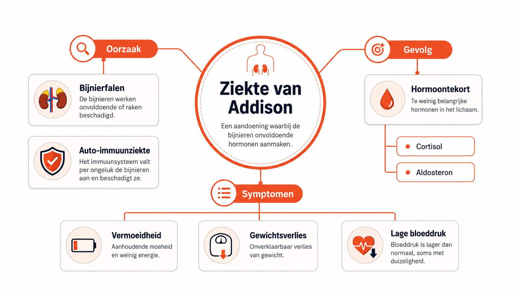 Een informatieve infographic die de oorzaken, symptomen en gevolgen van de ziekte van Addison overzichtelijk weergeeft.