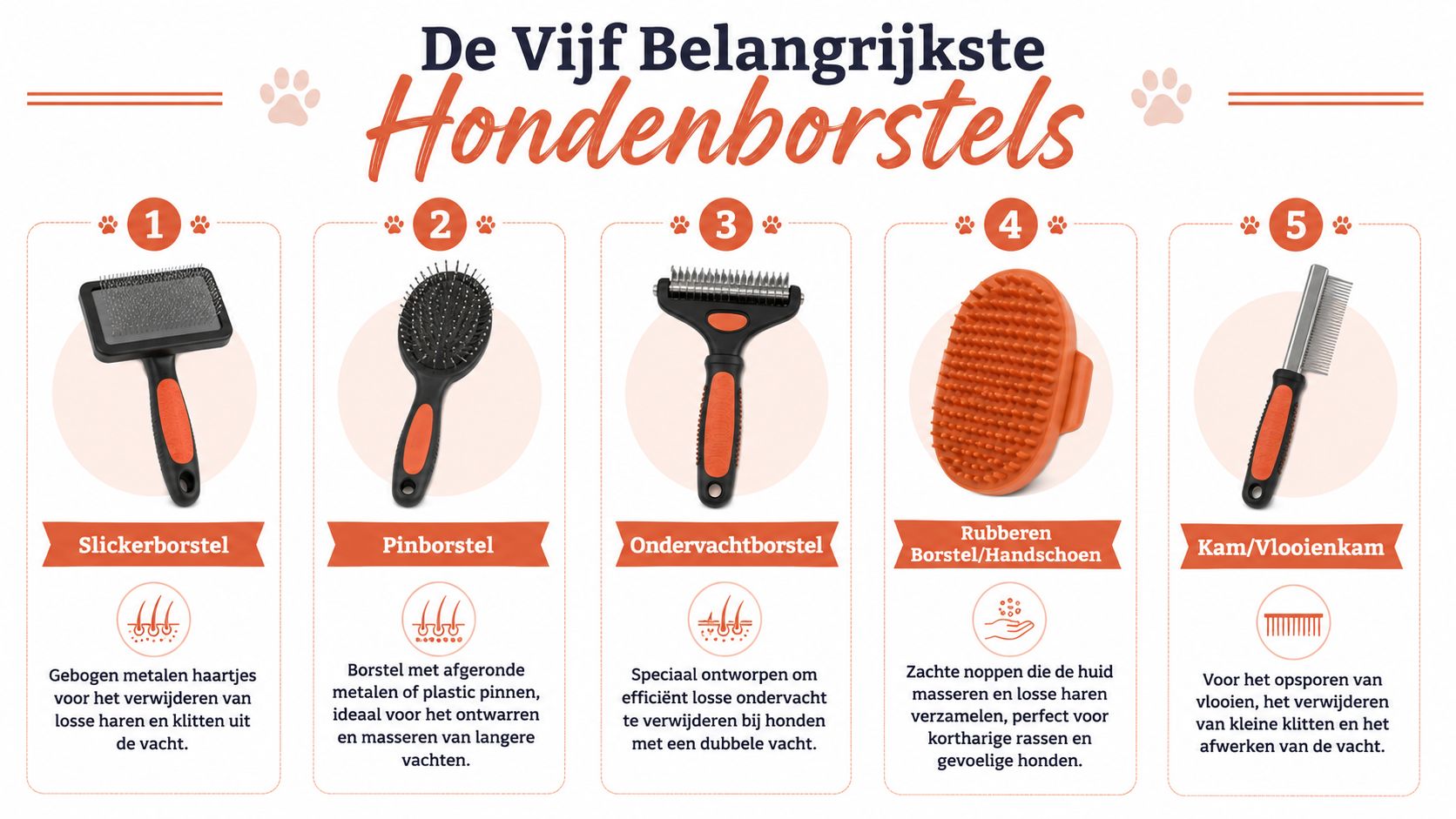 Een overzicht van de vijf belangrijkste hondenborstels met hun specifieke functies voor de verzorging van de hondenvacht.