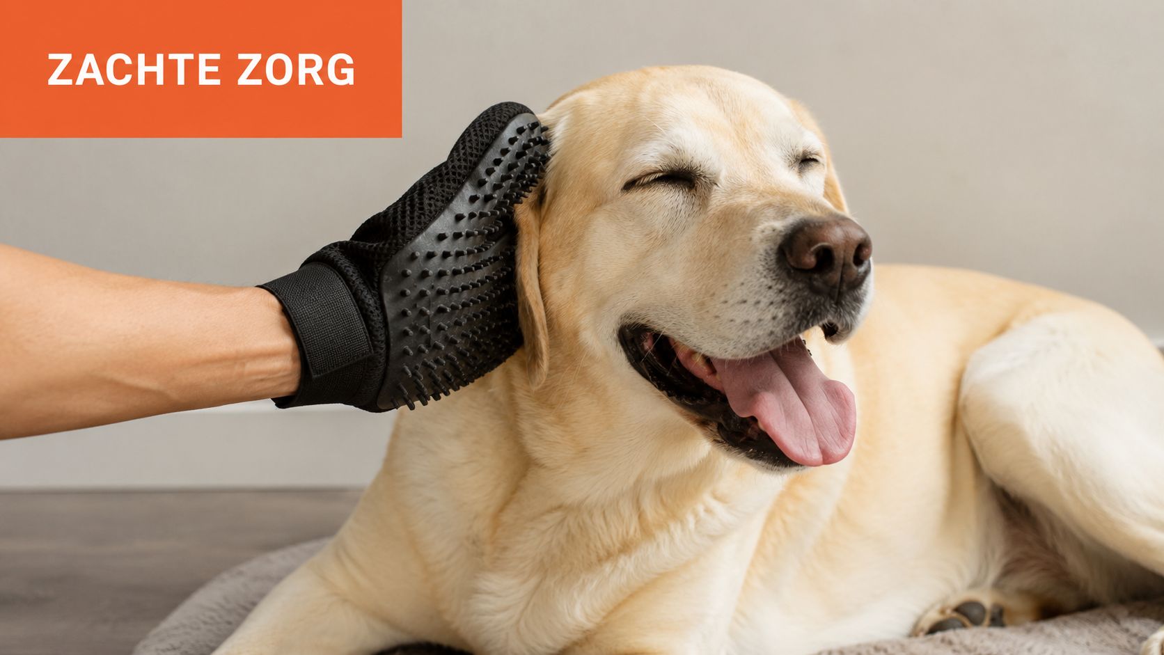 Een blije hond die zachtjes wordt geborsteld met een zwarte massagehandschoen voor een comfortabele verzorging.