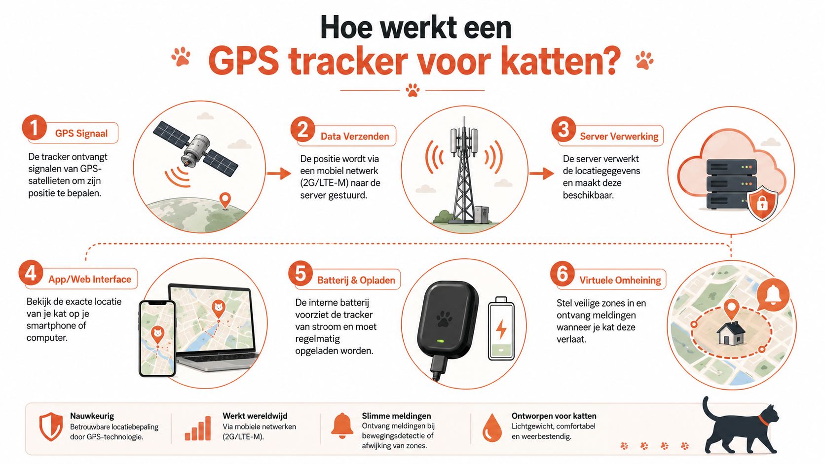 Een infographic die in zes stappen uitlegt hoe een GPS-tracker voor katten werkt via satellieten en servers.