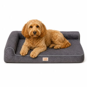 Lizzy & Lola - Hondenbed Cozy XL - 100 x 65 cm – Black