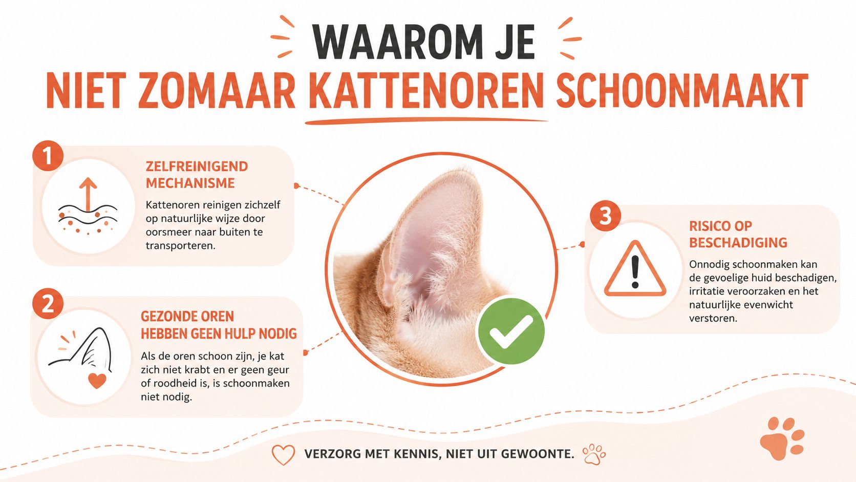 Een informatieve afbeelding die uitlegt waarom je kattenoren niet onnodig moet schoonmaken vanwege hun natuurlijke zelfreinigende mechanisme.