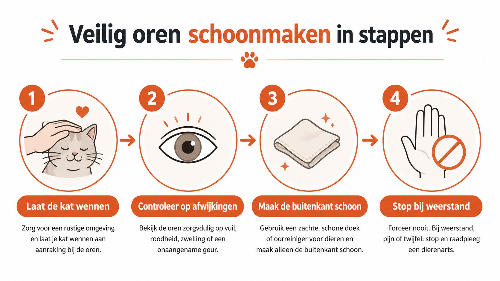 Een infographic met vier stappen voor het veilig en voorzichtig schoonmaken van de oren van een kat.