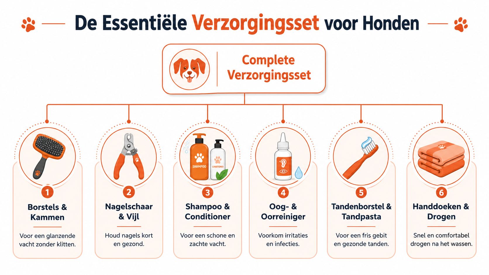Een overzichtelijk schema met de zes essentiële verzorgingsartikelen voor een gezonde en gelukkige hond.