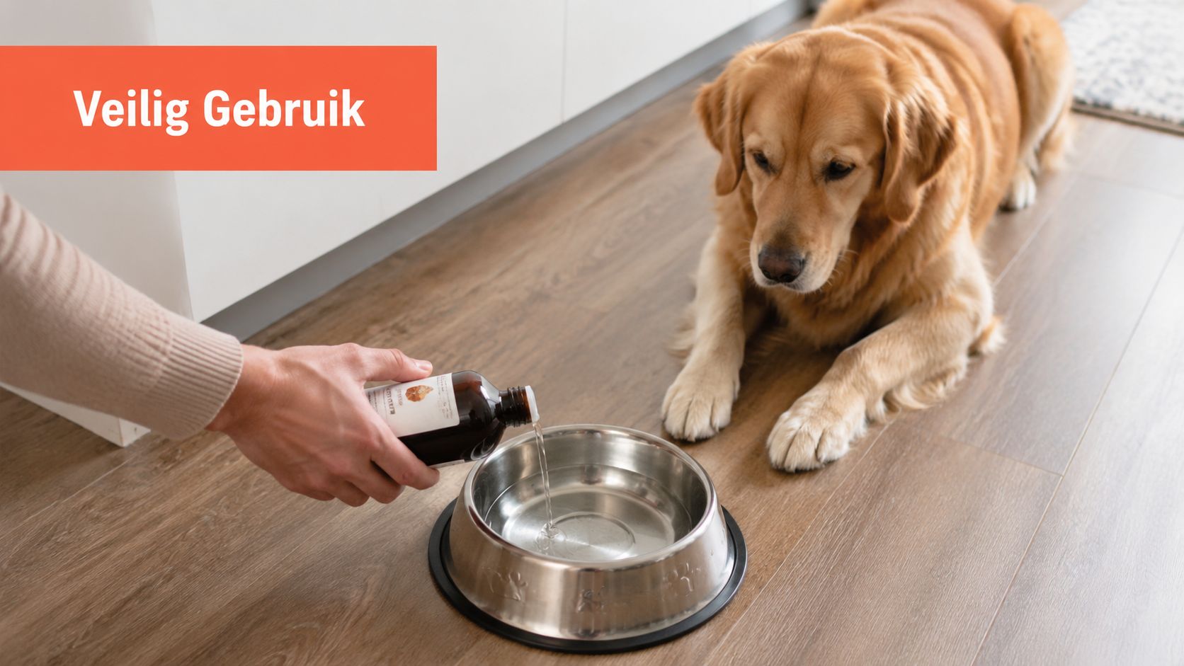 Een persoon giet vloeistof uit een flesje in een metalen voerbak voor een wachtende golden retriever.