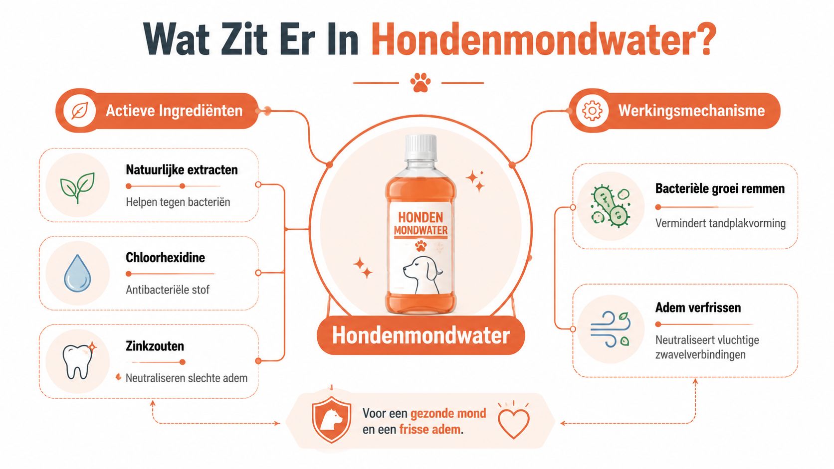 Een infografiek over de ingrediënten en de werking van mondwater voor honden voor een gezonde mond.