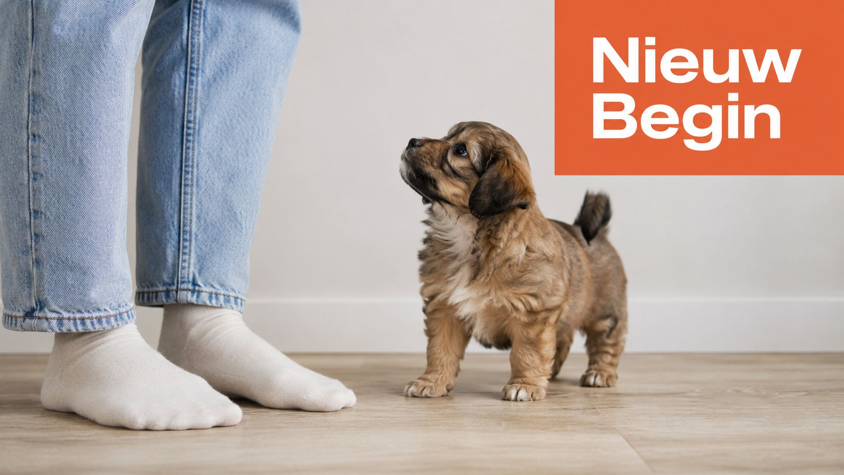 Een klein bruin puppy kijkt omhoog naar een persoon met blauwe jeans en witte sokken binnenshuis.