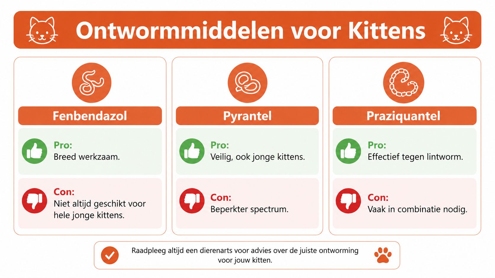 Een overzichtskaart van ontwormingsmiddelen voor kittens met voor- en nadelen van Fenbendazol, Pyrantel en Praziquantel.