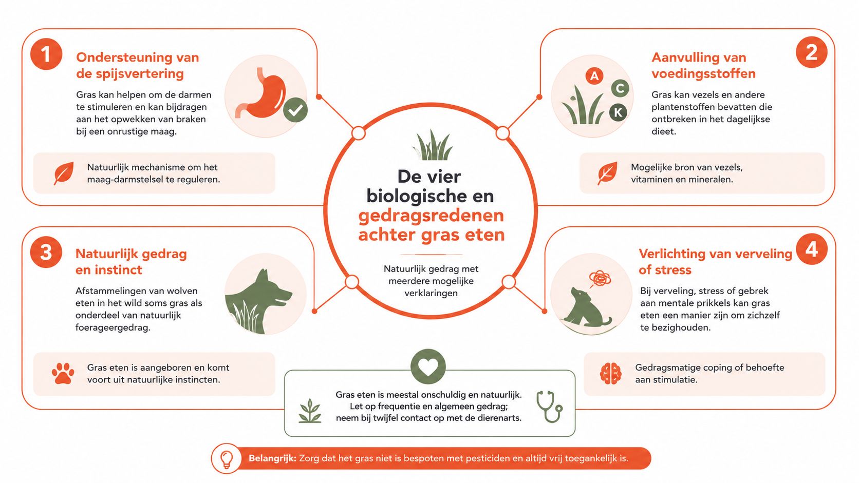 Een informatieve afbeelding die de vier biologische en gedragsredenen verklaart waarom honden gras eten.
