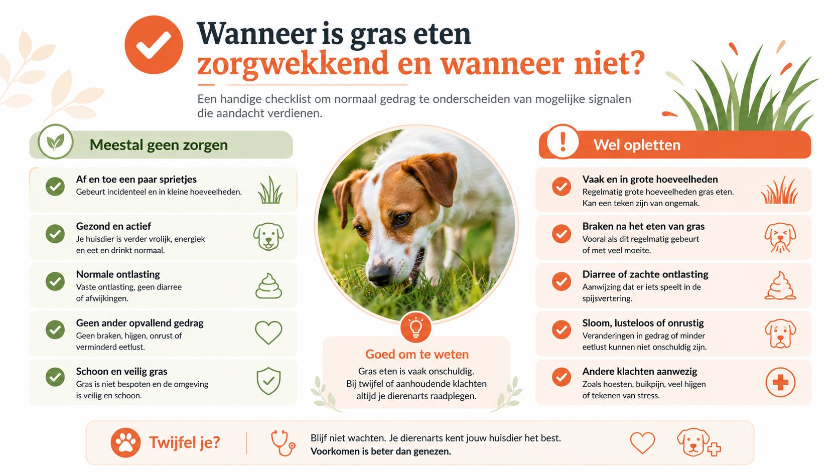 Een informatieve infographic over wanneer gras eten bij honden normaal is en wanneer het zorgwekkend kan zijn.