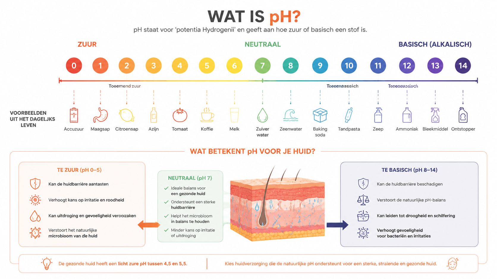 Een informatieve infographic over pH-waarden, voorbeelden uit het dagelijks leven en de invloed van pH op de huid.