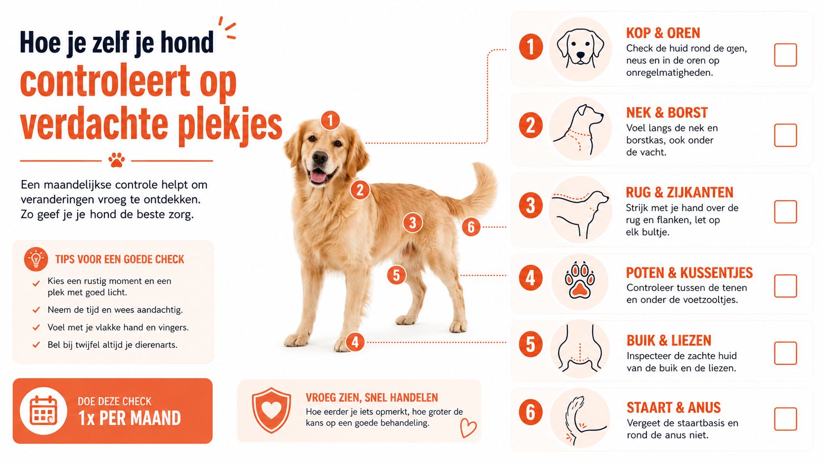 Een informatieve infographic die uitlegt hoe je als eigenaar je hond maandelijks controleert op verdachte plekken en knobbels.